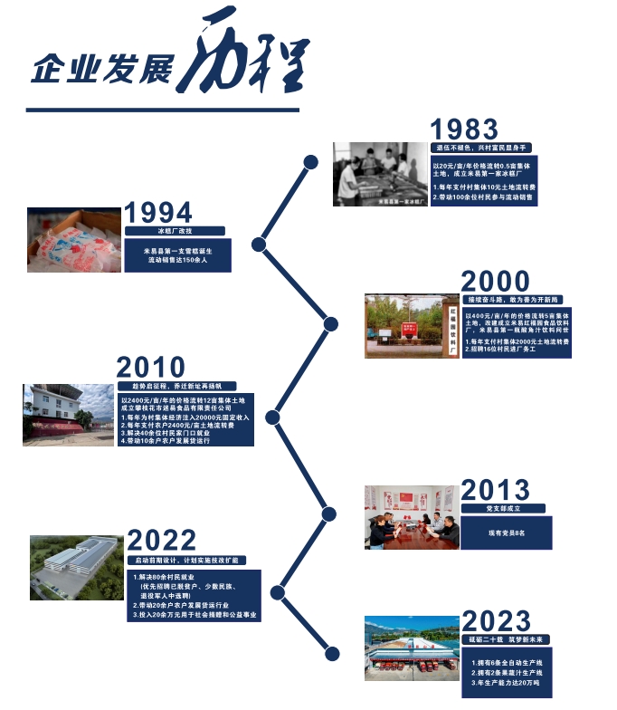 公司历程
